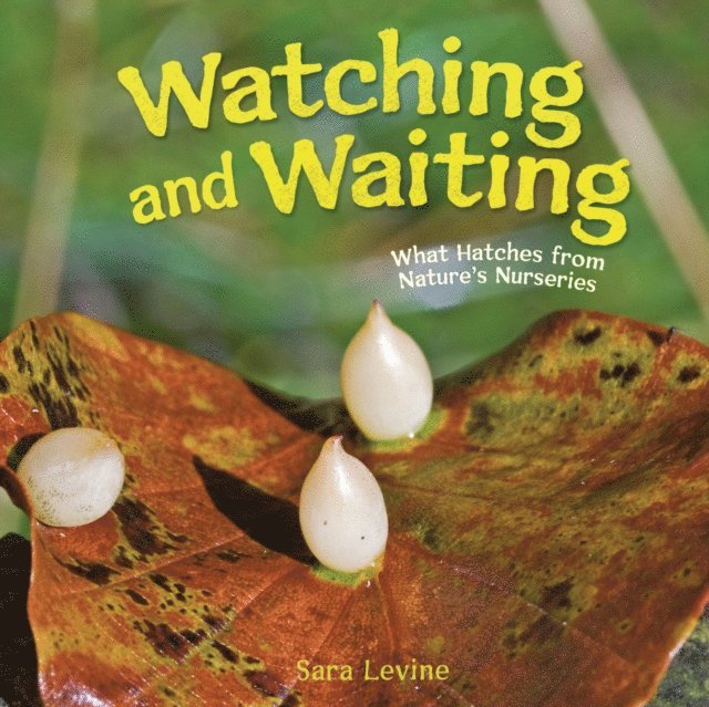 Watching and Waiting