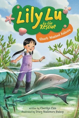 Cherilyn Chin - Shark Washed Ashore, Häftad