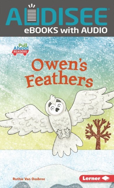 Ruthie Van Oosbree - Owen's Feathers, E-bok