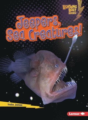 India James - Jeepers, Sea Creatures!, Häftad