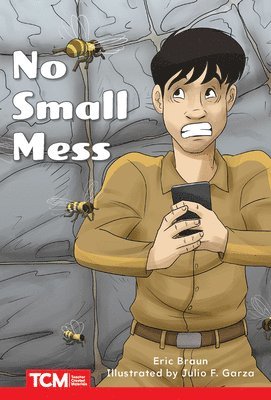 Eric Braun - No Small Mess: Level 1: Book 7, Häftad