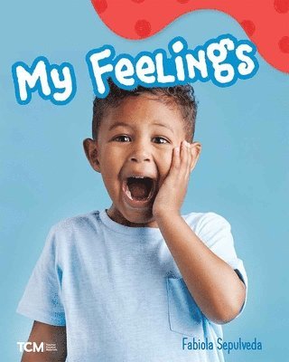 Fabiola Sepulveda - My Feelings, Häftad
