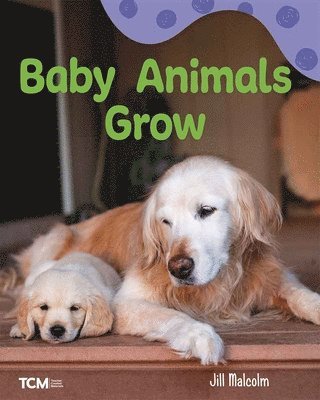 Jill Malcolm - Baby Animals Grow, Häftad