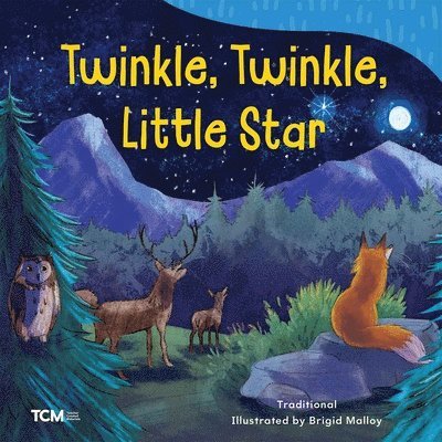 Brigid Malloy - Twinkle, Twinkle, Little Star, Häftad