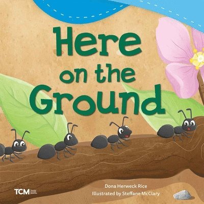 Dona Herweck Rice - Here on the Ground, Häftad