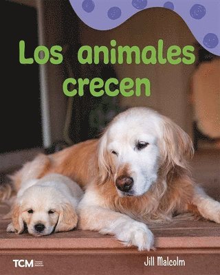 Jill Malcolm - animales crecen, Häftad