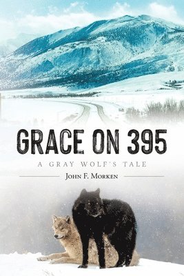 John F Morken - Grace on 395, Häftad