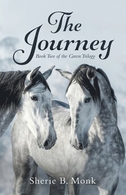 Sherie B Monk - Journey, Häftad