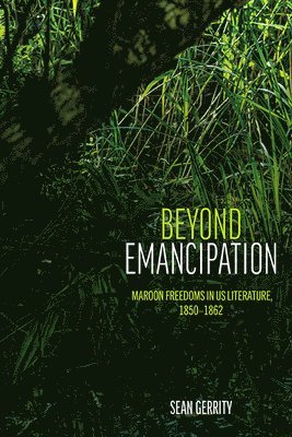 Sean Gerrity - Beyond Emancipation, Häftad