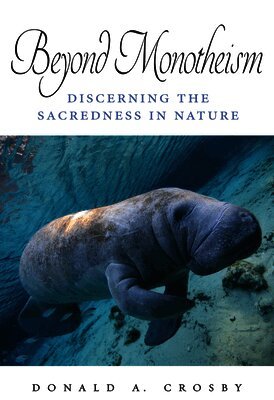 Donald A. Crosby - Beyond Monotheism, Inbunden