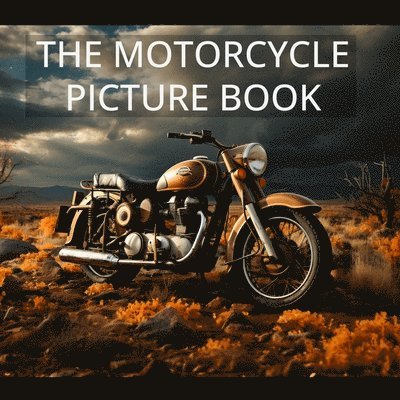 Javier Sanz - Motorcycle Picture Book, Häftad