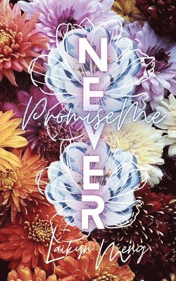 Laikyn Meng - Promise Me Never, Häftad. Tillgänglighet: Lägg i varukorg