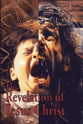 Matthew Simmons - Revelation of Jesus Christ, Häftad