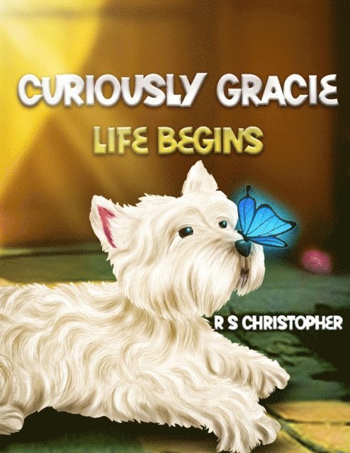 R S Christopher - Curiously Gracie Life Begins, E-bok