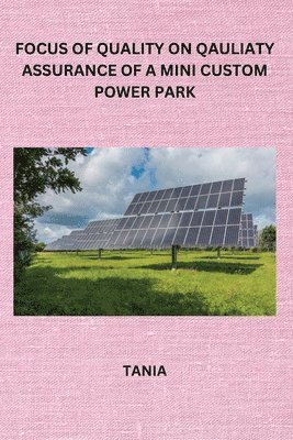Tania - Focus of Quality on Qauliaty Assurance of a Mini Custom Power Park, Häftad