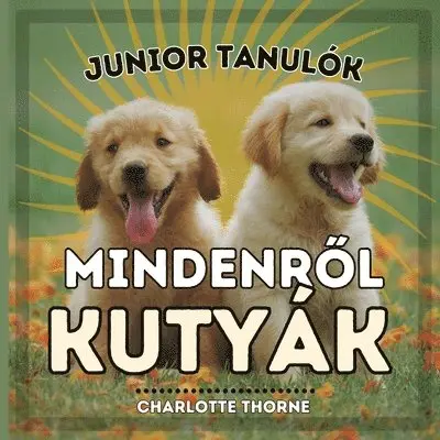 Charlotte Thorne - Junior Tanulók, MINDENRŐL KUTYÁK, Häftad. Tillgänglighet: Lägg i varukorg