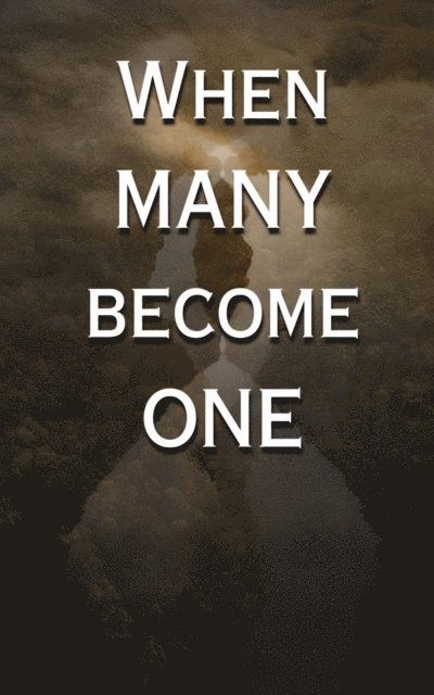 Victor Stone - When Many Become One, E-bok