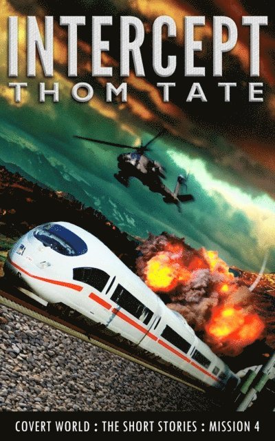 Tate - Intercept, E-bok