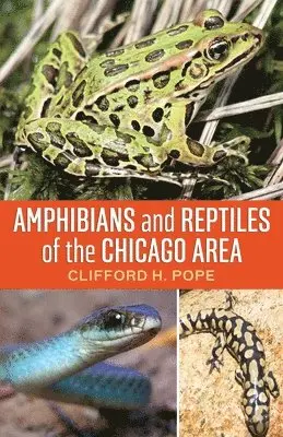 Clifford H Pope - Amphibians and Reptiles of the Chicago Area, Häftad. Tillgänglighet: Lägg i varukorg