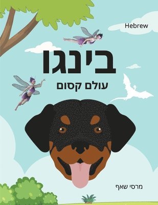 Marcy Schaaf - בינגו עולם קסום (HEBREW English Bilingual) Bingo's Magical World, Häftad