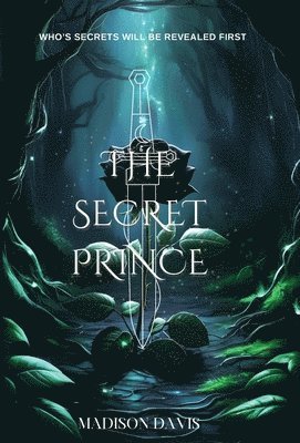 Madison Davis - Secret Prince, Inbunden