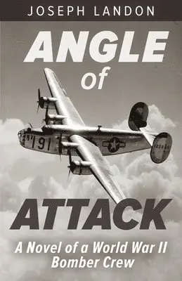 Joseph Landon - Angle of Attack, Häftad. Tillgänglighet: Lägg i varukorg