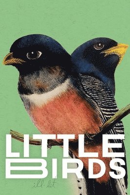 Shy Watson, Garth Miró, Jack Skelley - Little Birds 2 (green), Häftad