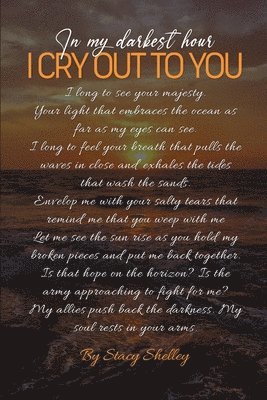 Stacy Shelley - In My Darkest Hour I Cry Out To You!, Häftad