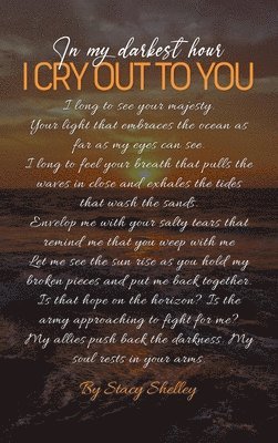 Stacy Shelley - In My Darkest Hour I Cry Out To You!, Inbunden