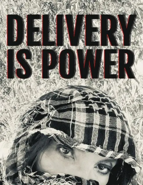 Shazadi Baig - Delivery is Power, E-bok. Tillgänglighet: Lägg i varukorg