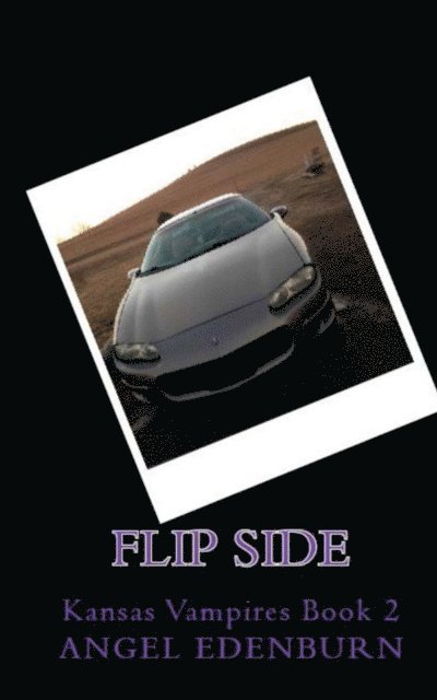 Angel Edenburn - Flip Side, E-bok