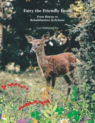 Lori Klisman Ellis - Fairy the Friendly Fawn, Häftad