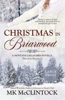 Mk McClintock - Christmas in Briarwood (Large Print), Häftad. Tillgänglighet: Lägg i varukorg