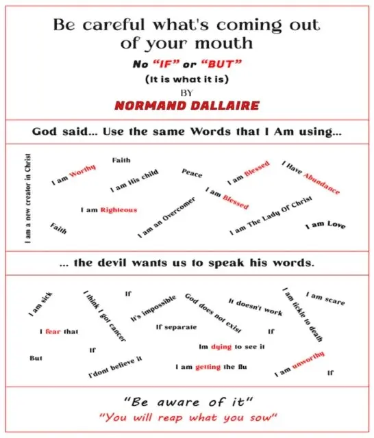 Normand Dallaire, Rachelle Packard - Be Careful What's Coming Out Of Your Mouth, E-bok. Tillgänglighet: Lägg i varukorg