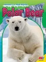 Steve MacLeod - Polar Bear, Inbunden. Tillgänglighet: Kommande