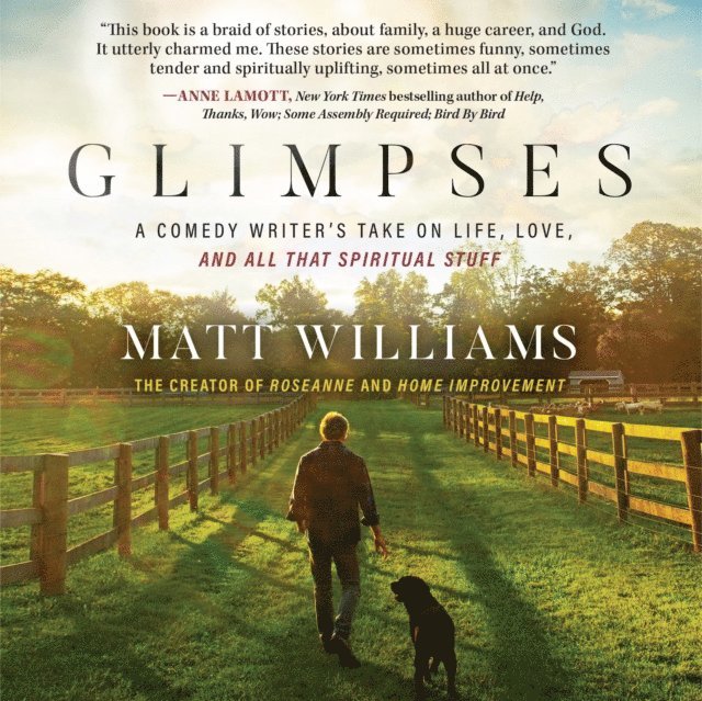 Matt Williams - Glimpses, Ljudbok