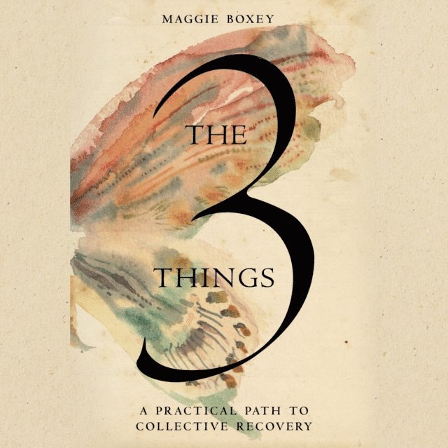 Maggie Boxey - 3 Things, Ljudbok