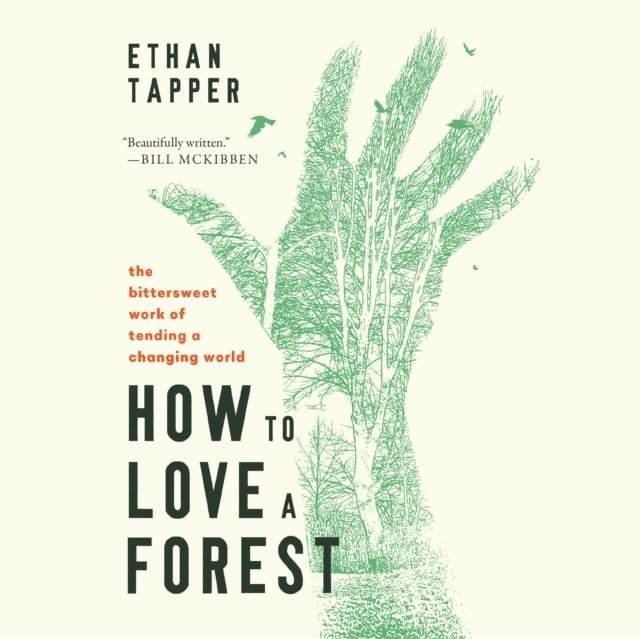 Ethan Tapper - How to Love a Forest, Ljudbok