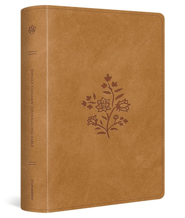 Esv Bibles - ESV Single Column Journaling Bible, Large Print, Inbunden
