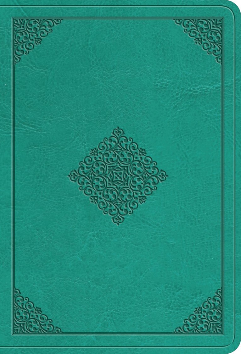 Esv Bibles - ESV Large Print Value Compact Bible, Inbunden