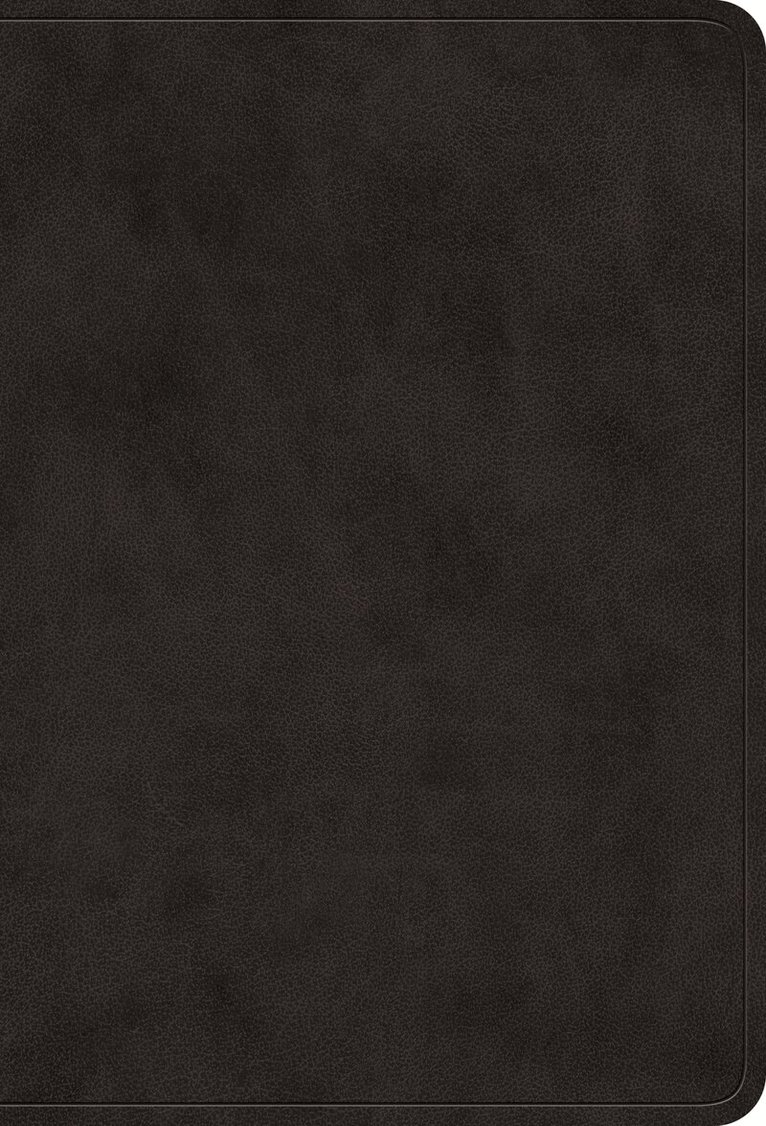 Esv Bibles - ESV Large Print Value Compact Bible, Inbunden