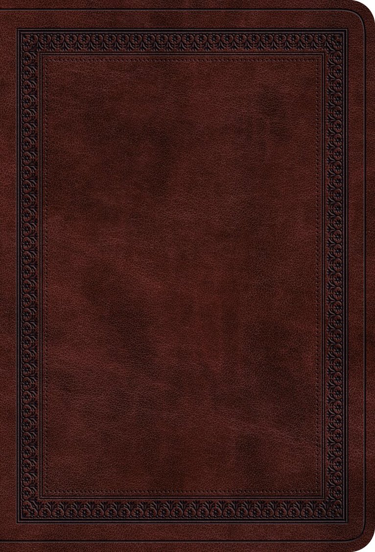 Esv Bibles - ESV Large Print Value Compact Bible, Inbunden