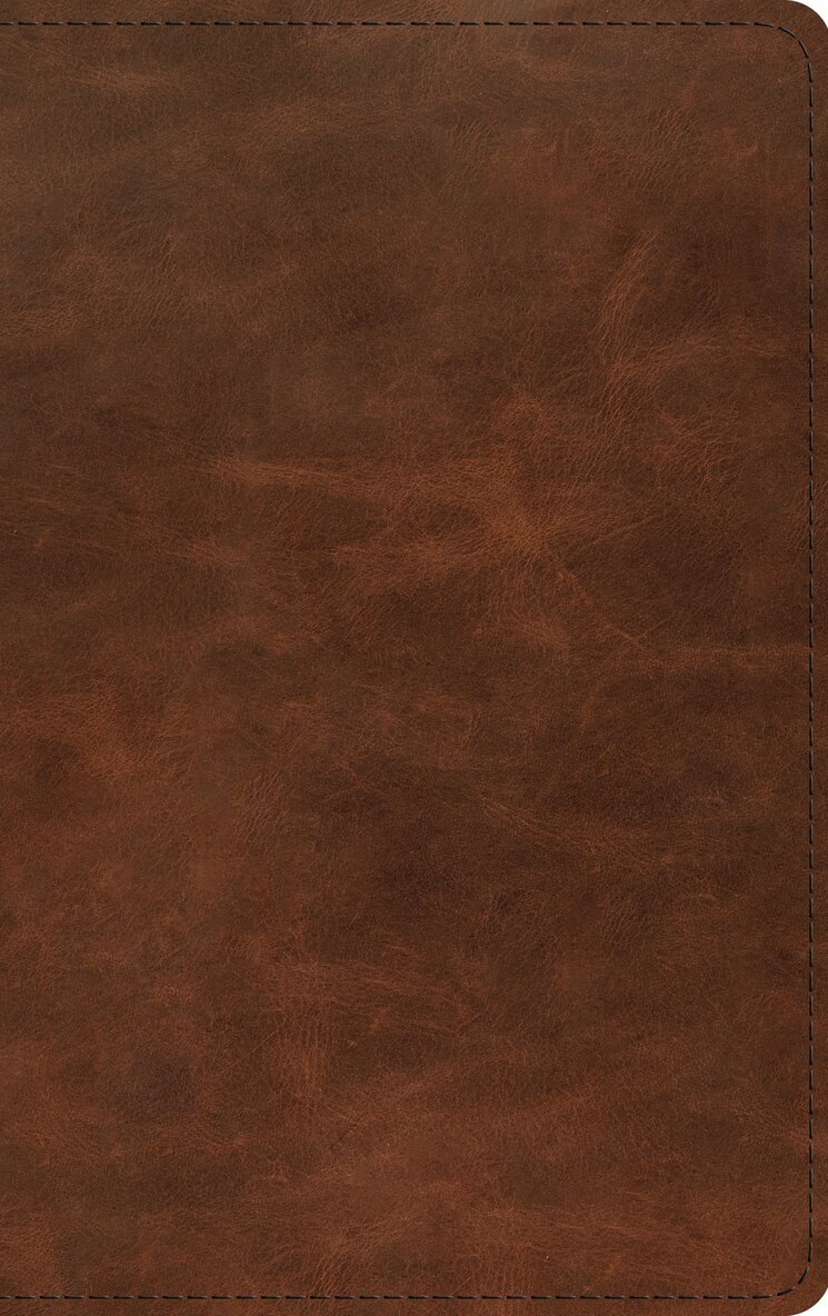Esv Bibles - ESV Thinline Bible, Red Letter, Inbunden