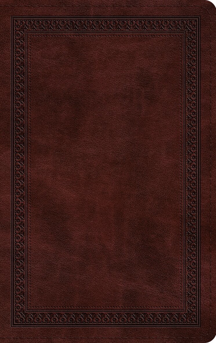 Esv Bibles - ESV Thinline Bible, Red Letter, Inbunden