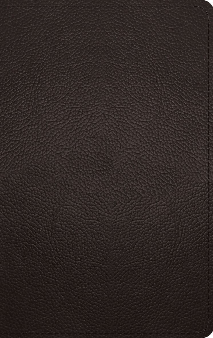 Esv Bibles - ESV Thinline Bible, Red Letter, Inbunden. Tillgänglighet: Lägg i varukorg