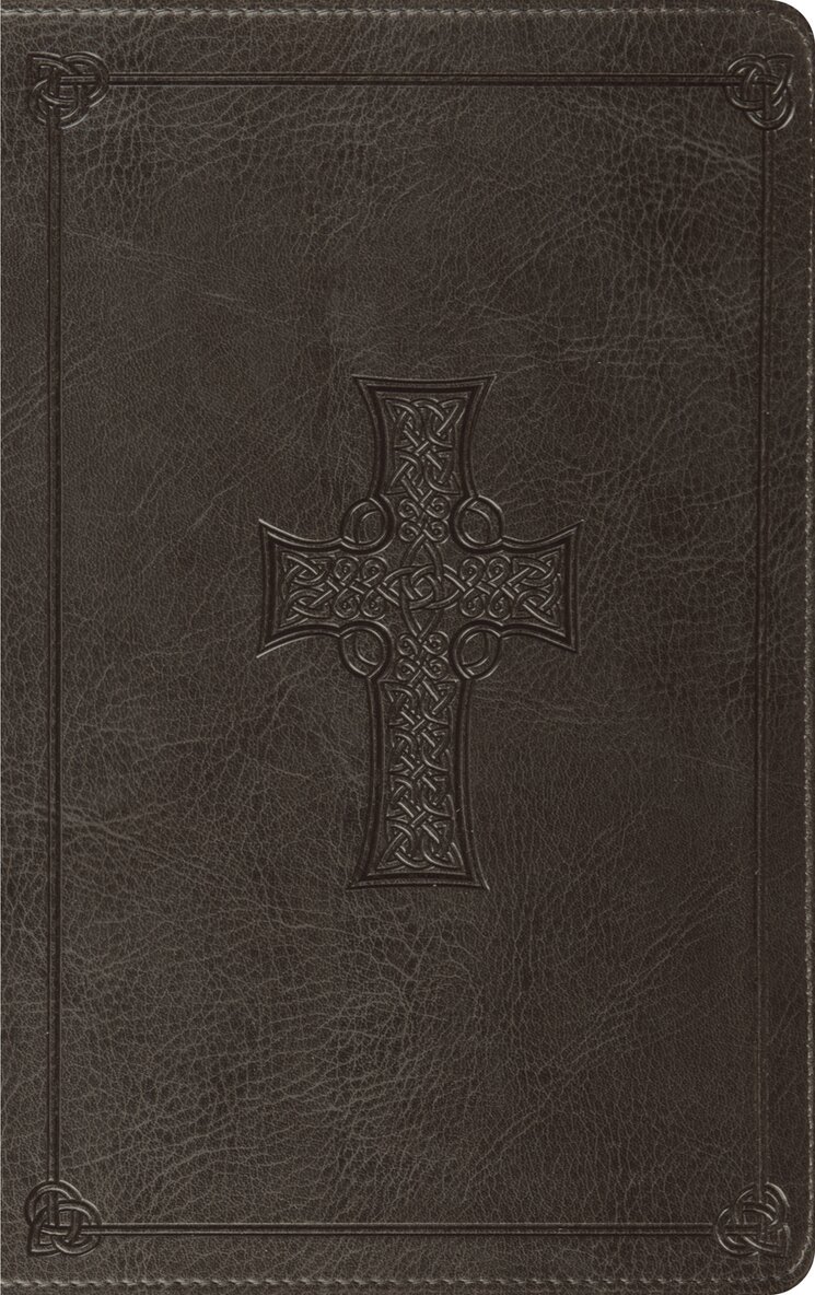 Esv Bibles - ESV Thinline Bible, Red Letter, Inbunden