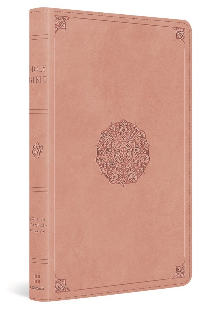 Esv Bibles - ESV Thinline Bible, Red Letter, Inbunden