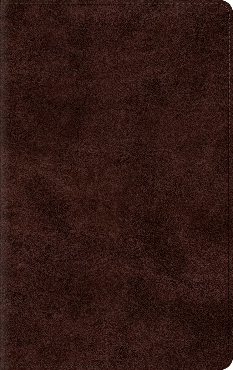Esv Bibles - ESV Thinline Bible, Red Letter, Inbunden