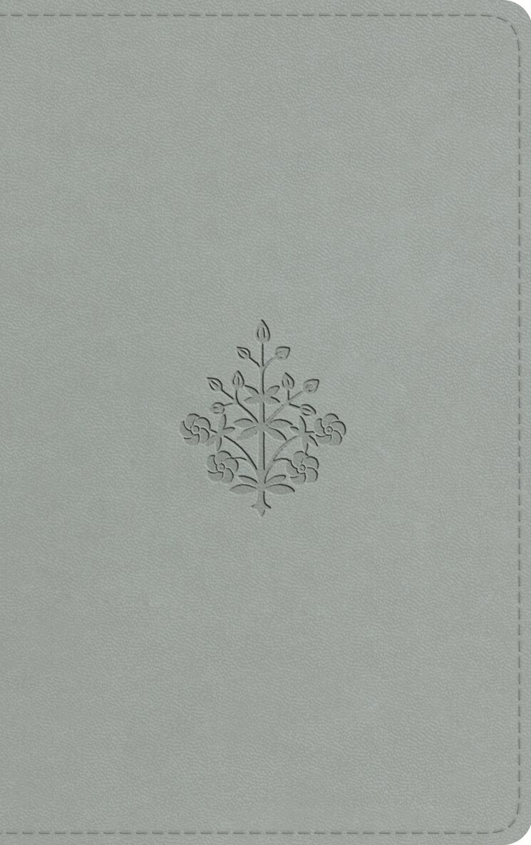 Esv Bibles - ESV Large Print Value Thinline Bible, Inbunden