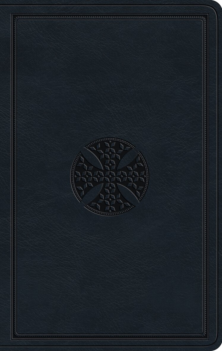 Esv Bibles - ESV Large Print Value Thinline Bible, Inbunden